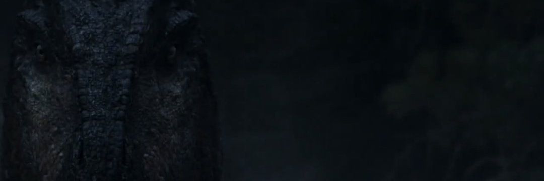 bbumble_beee's profile banner image