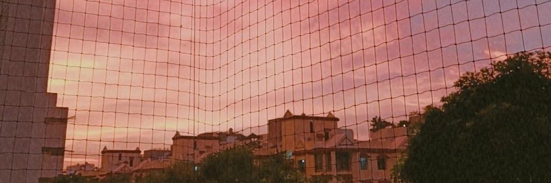 manishasarade's profile banner image