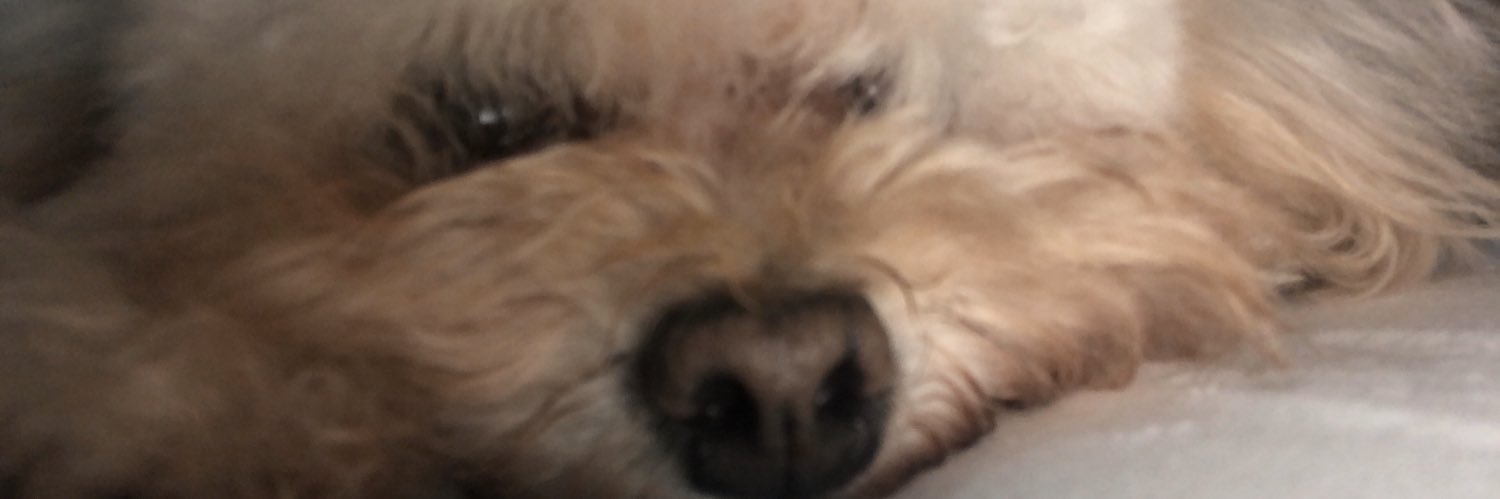 VilchesIsabela's profile banner image