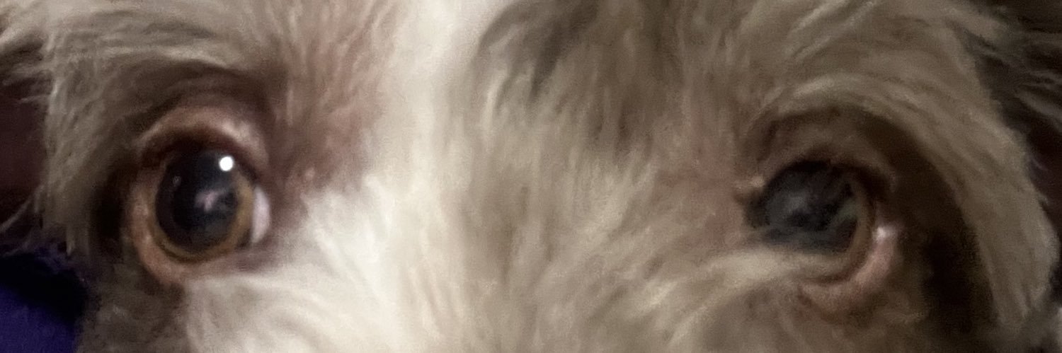 heyitsrivers's profile banner image