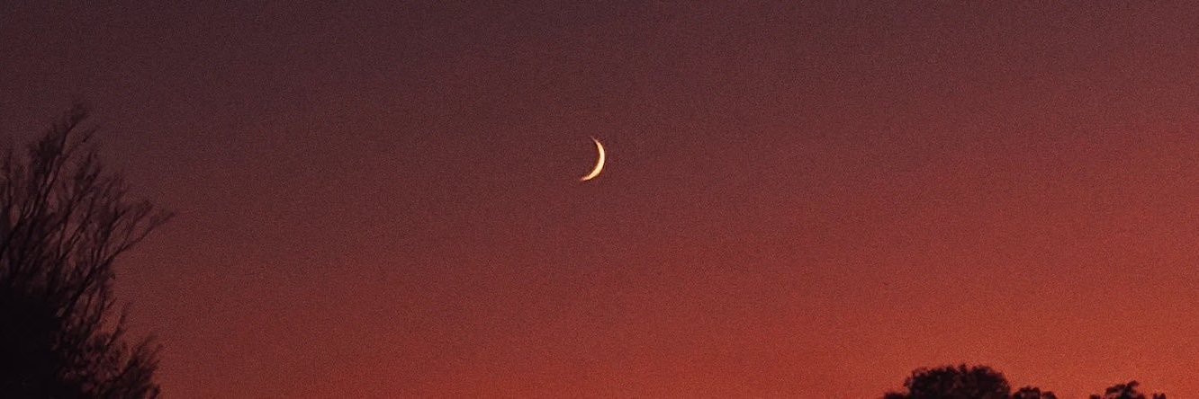 Mint_0racle's profile banner image