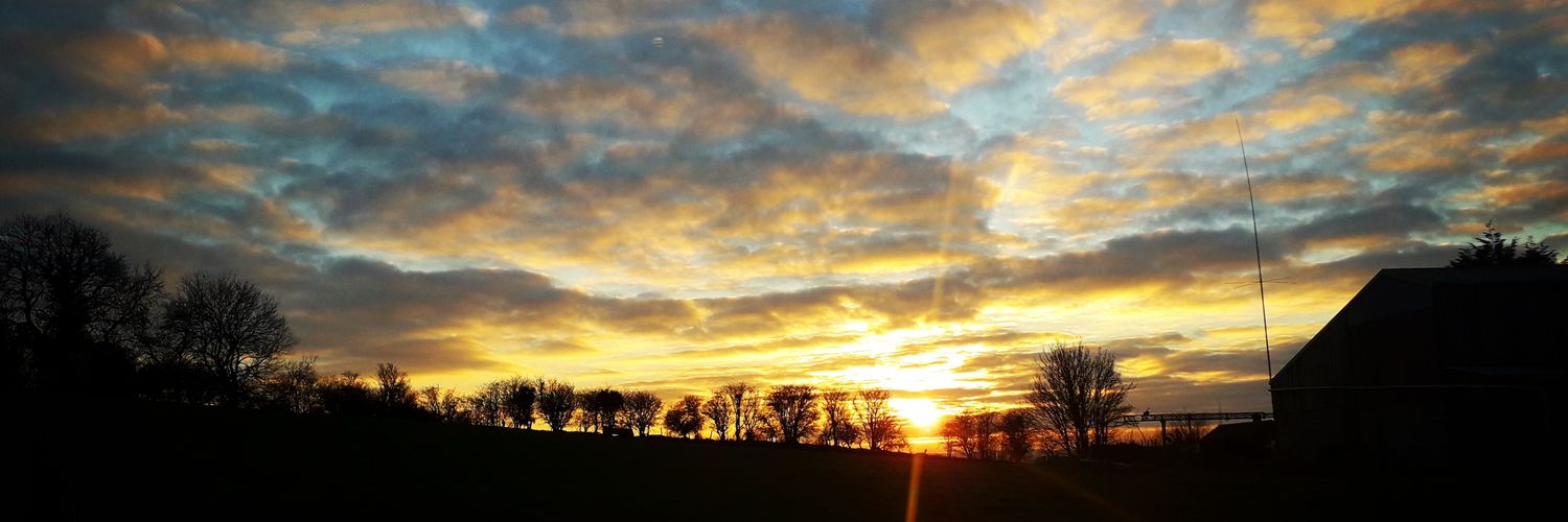 Meleri Morgan banner