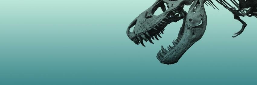 kladactyl's profile banner image