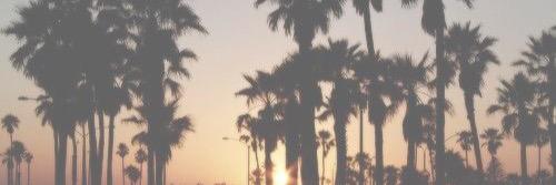 ErinCarrell's profile banner image