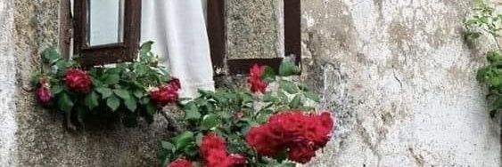 DanielCrespoMar's profile banner image