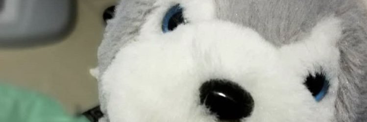 _Tam_py's profile banner image