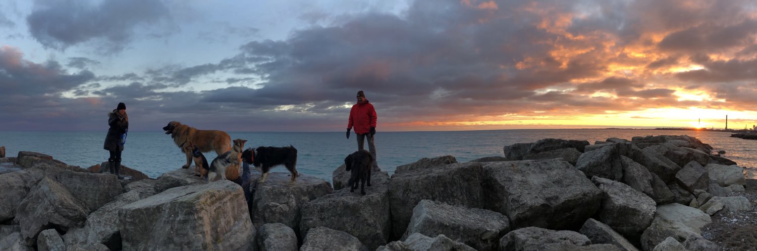 warren_hutton's profile banner image