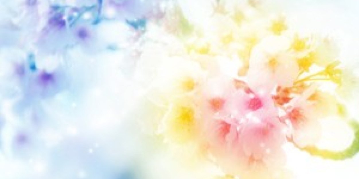 aynisd's profile banner image
