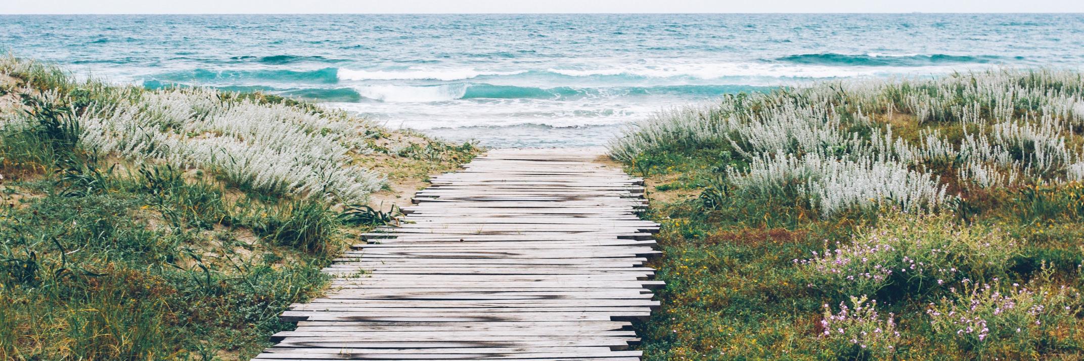 Saskia Plantinga@Abreptus Uitvaartverzorging Arnhe banner