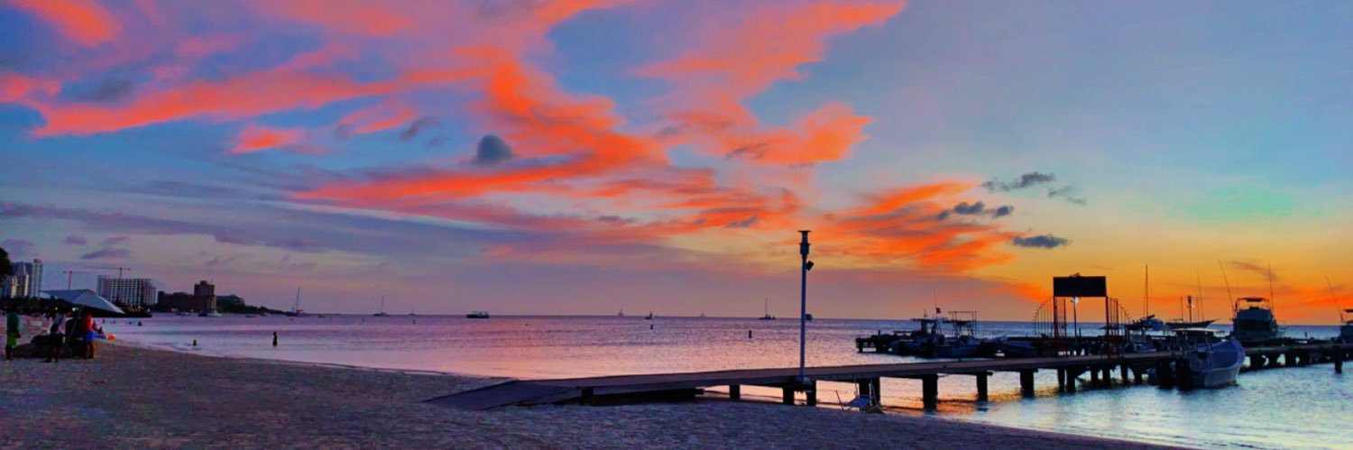 Nicole Dresner banner