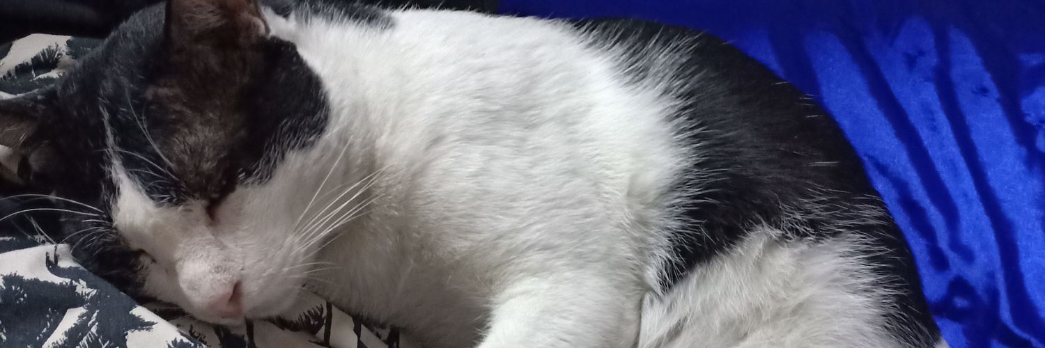 Jaturon2's profile banner image