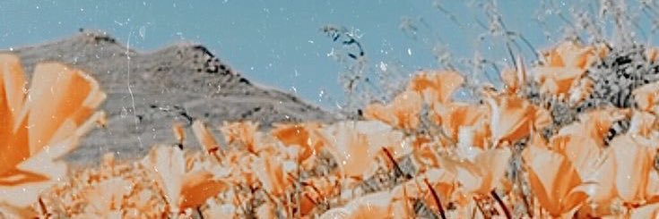CaliLandry's profile banner image