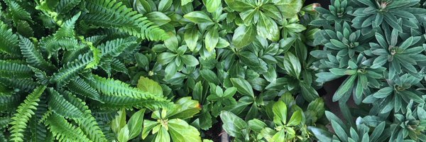 PeterRobinson18 Profile Banner