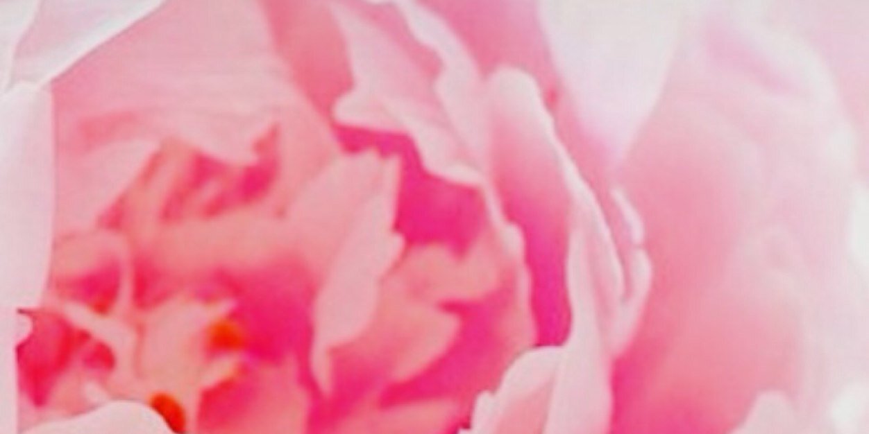 SophieCallanan's profile banner image