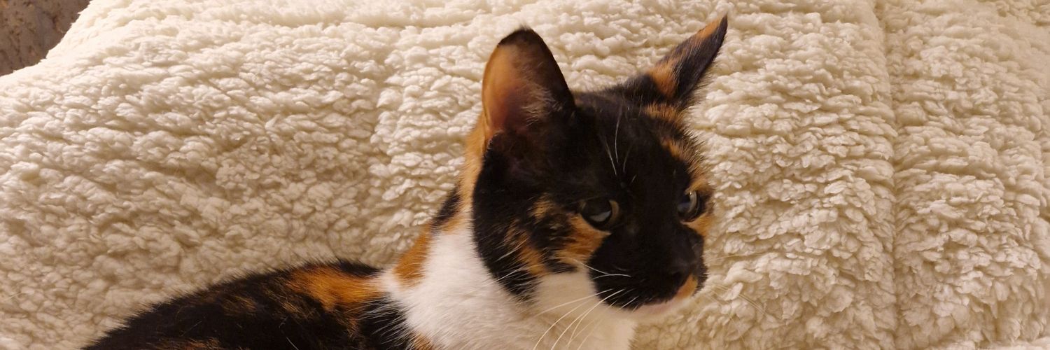 Marianne Keur banner