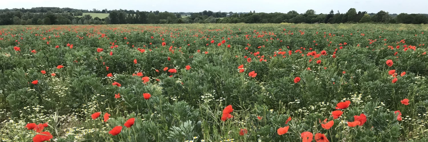 Caroline Wright banner