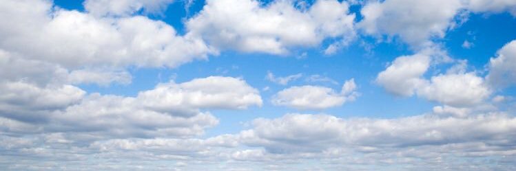 danicalderon09's profile banner image