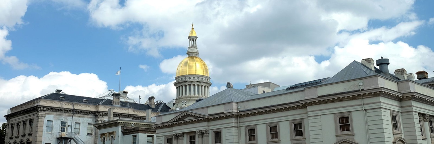 njlead's profile banner image