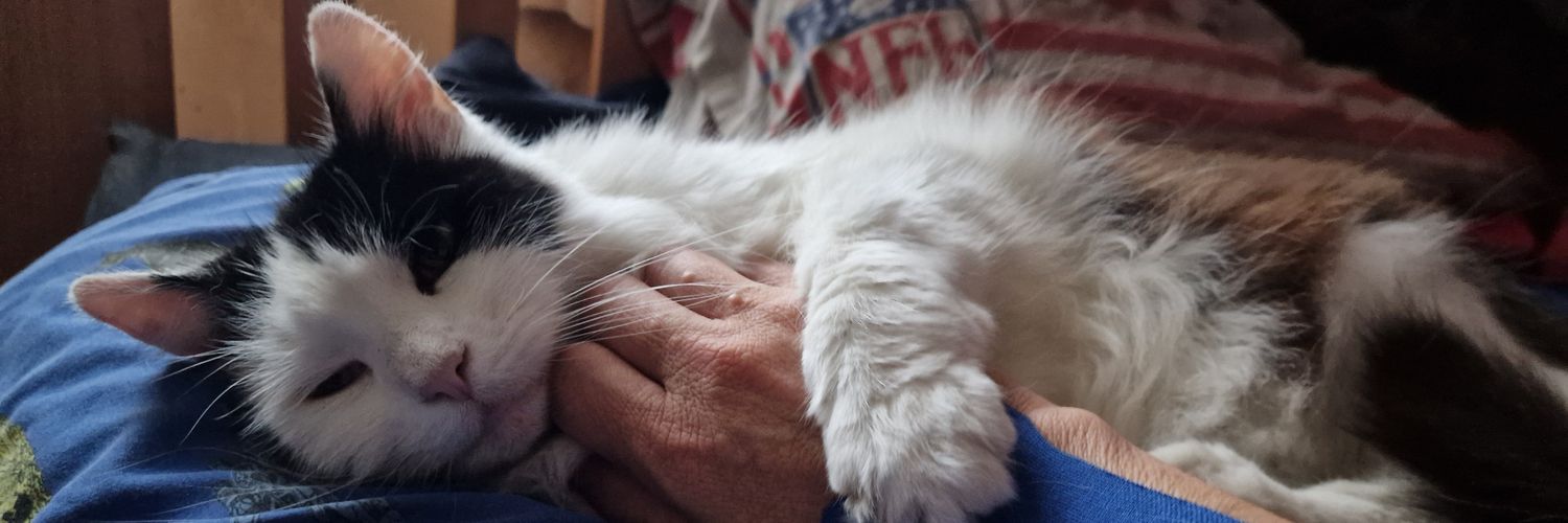 🏴󠁧󠁢󠁷󠁬󠁳󠁿 PT Richie 💪🏽𓅪 banner