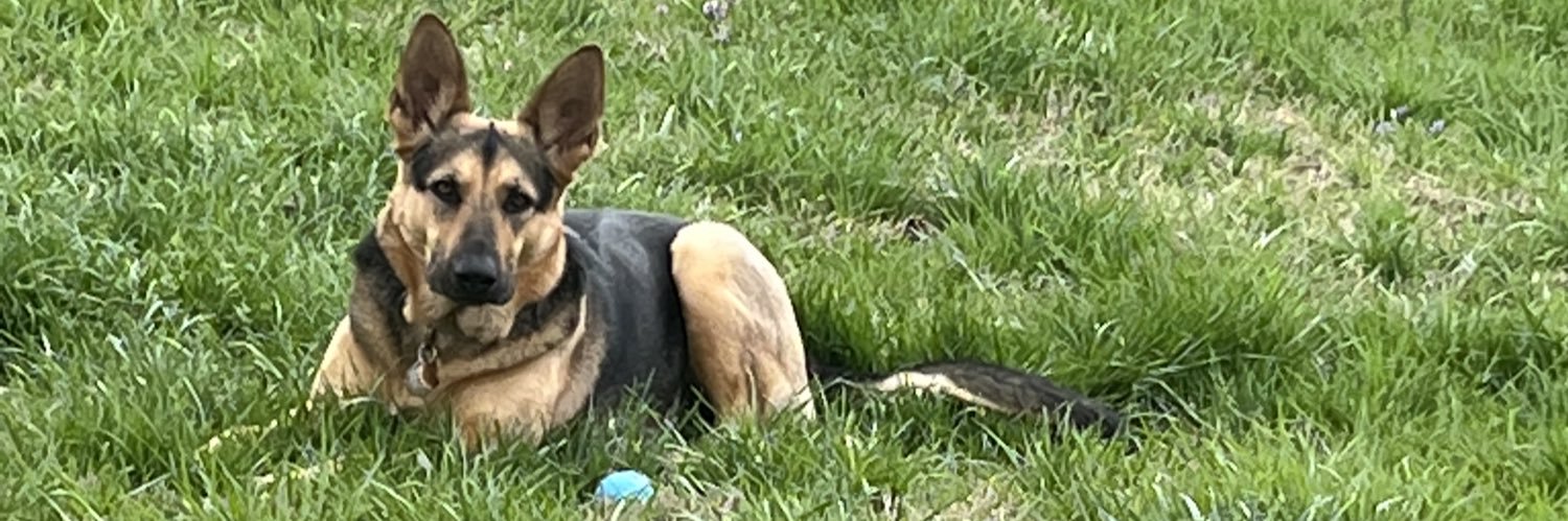 Austin Howard banner