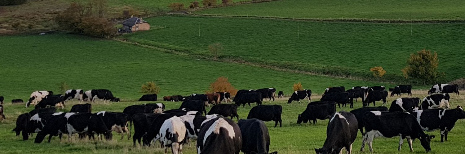 FarmingTom's profile banner image