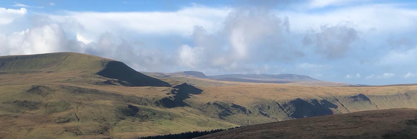 Hywel Williams banner