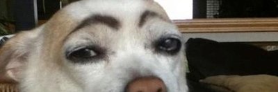 prettymuchkavi's profile banner image