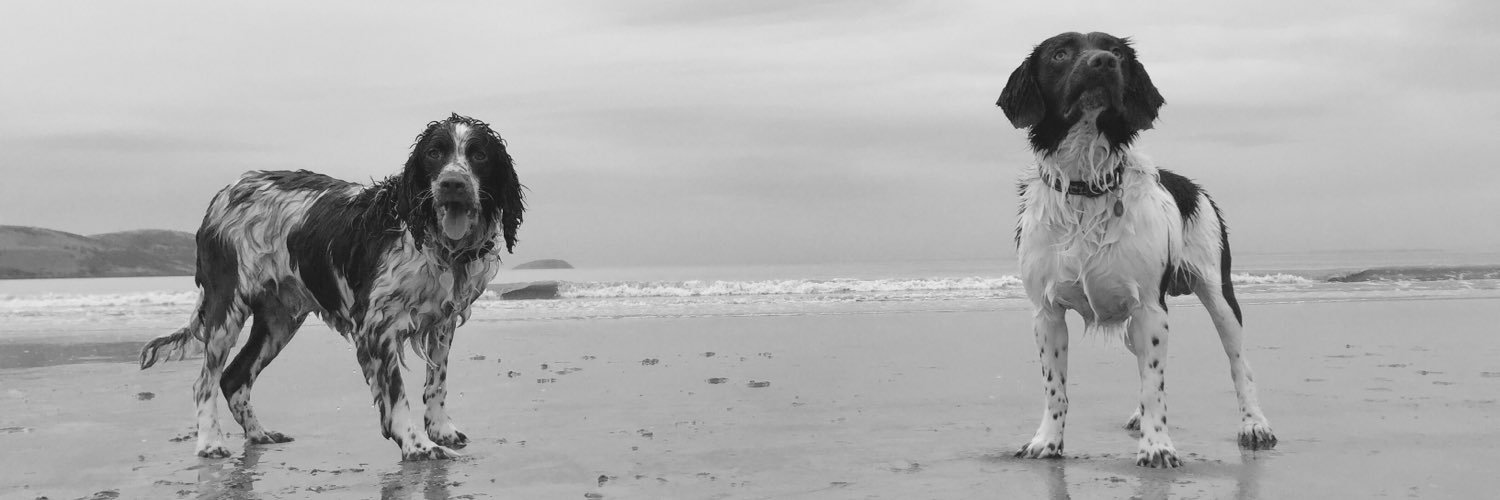 timmygrigg's profile banner image