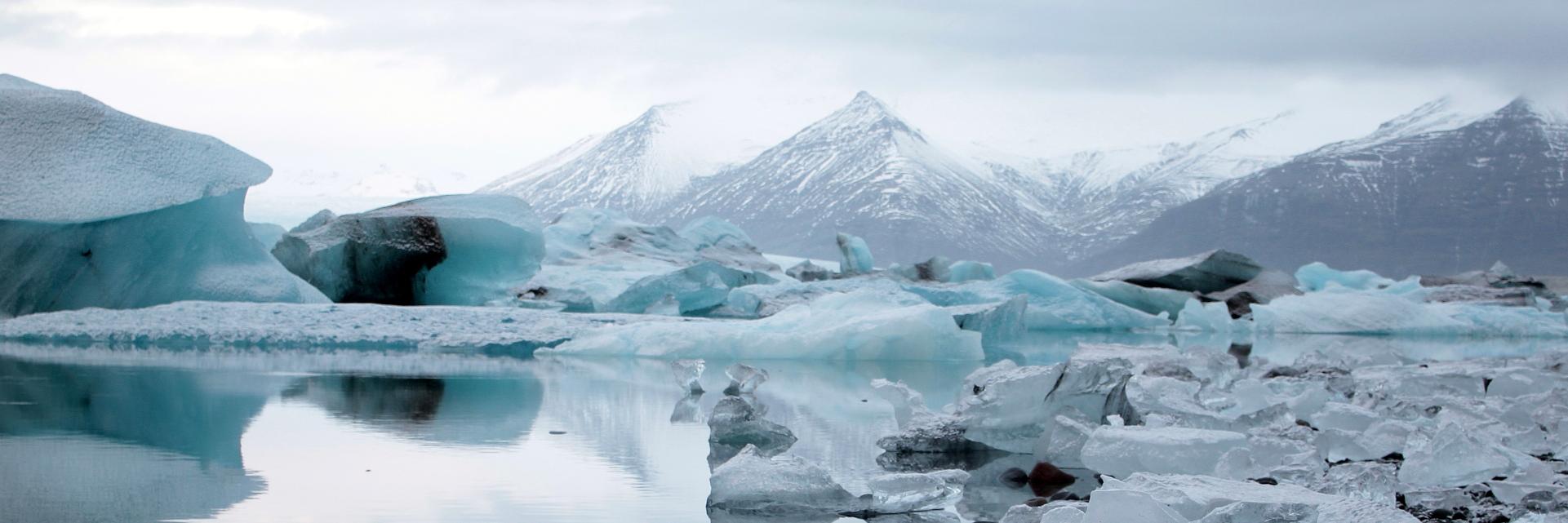 Hillary Layden banner