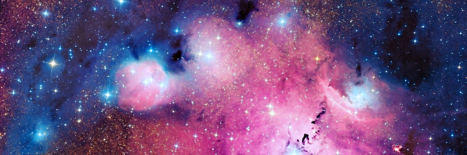 AlicePJ_'s profile banner image