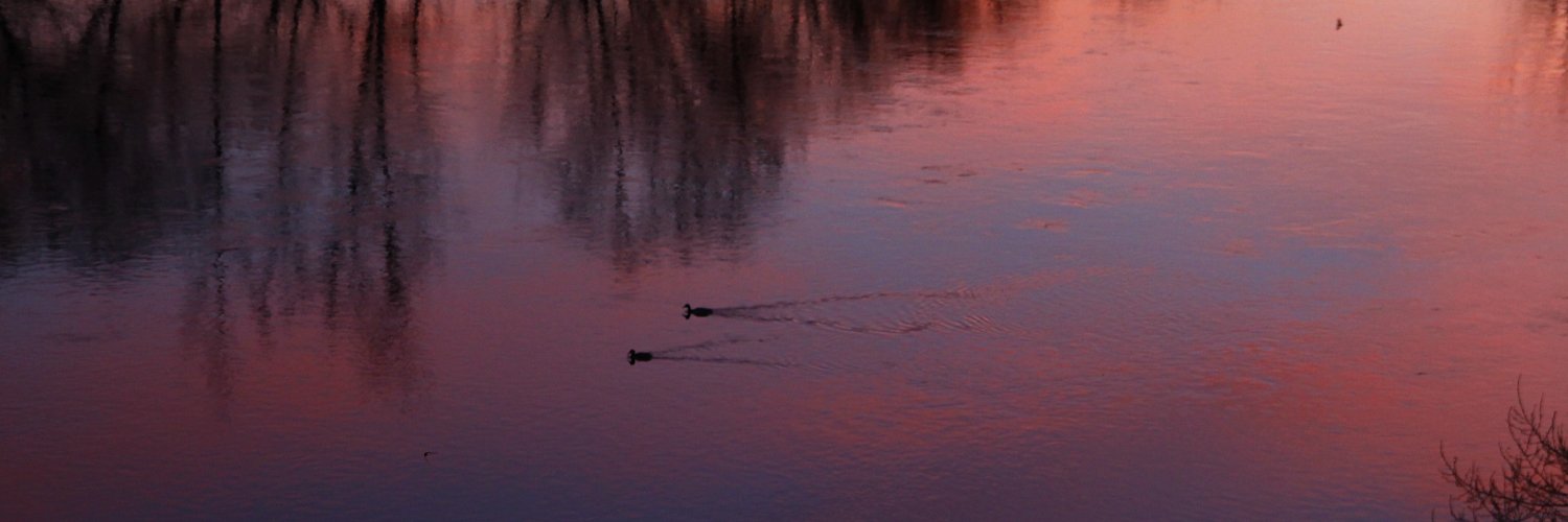 Lauralvarezal's profile banner image