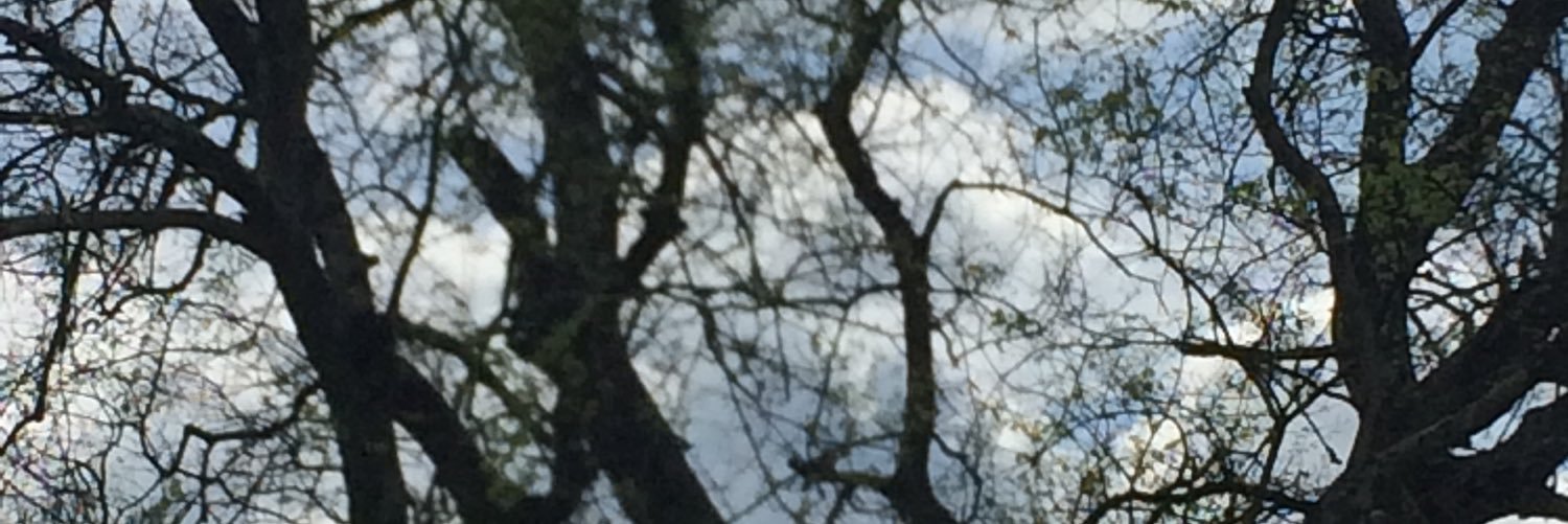 JohnJCarter2nd's profile banner image