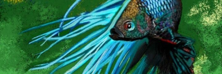 ricka sun shines banner