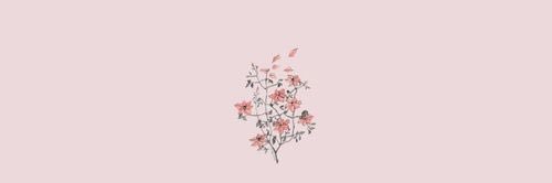gracefulshubs's profile banner image