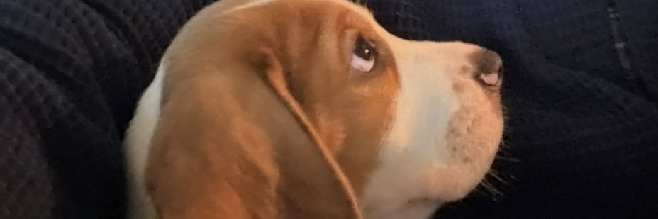 maconpatton's profile banner image