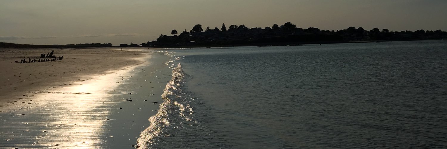 NocMart44's profile banner image