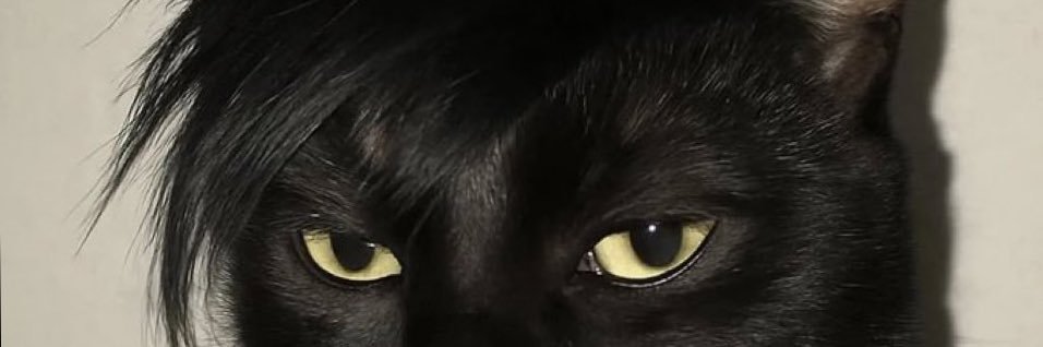 ✰ banner