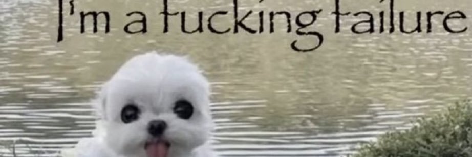 peacefulboxlike's profile banner image