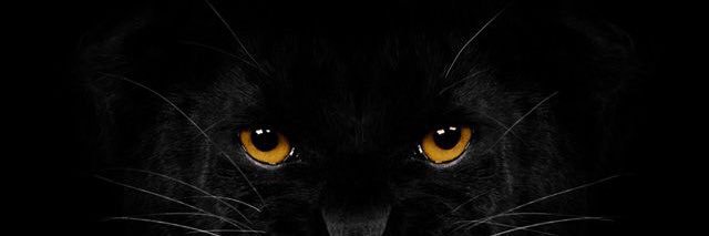 hanimalki's profile banner image