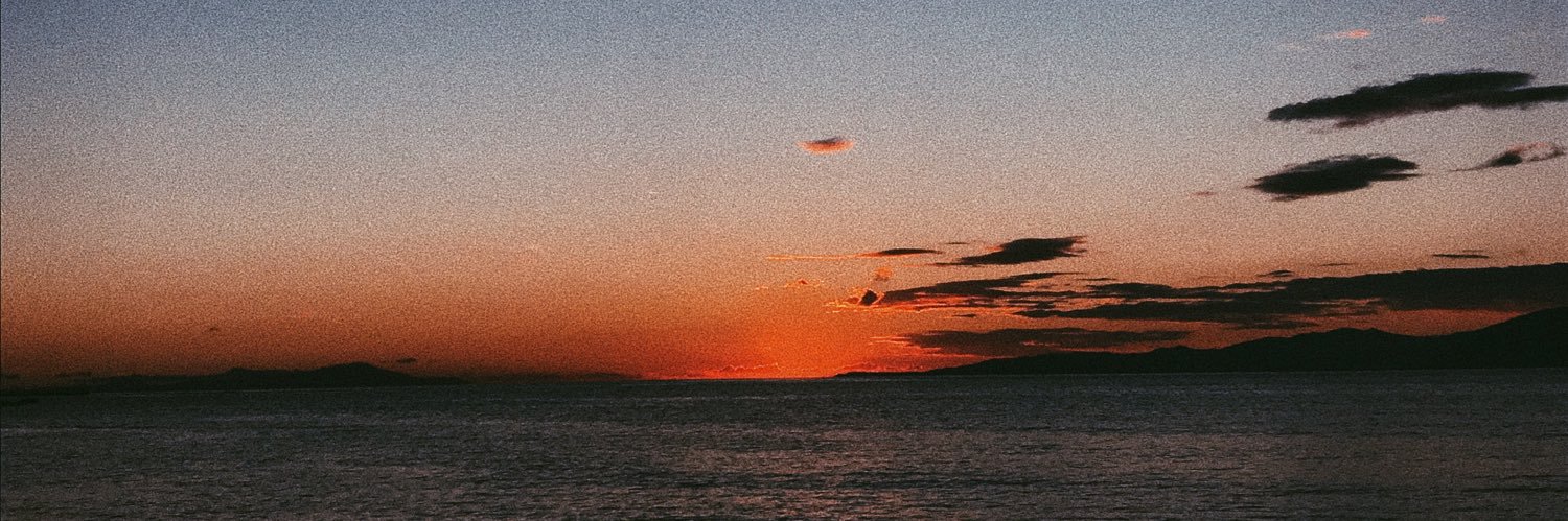 damlasavran's profile banner image