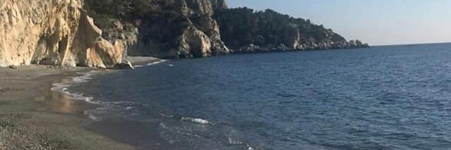 Suso del Choto banner