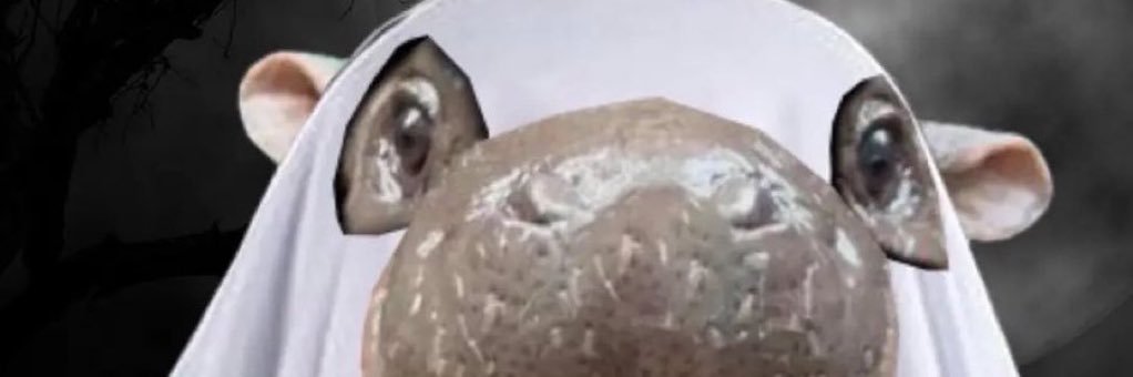 alanawhatt's profile banner image