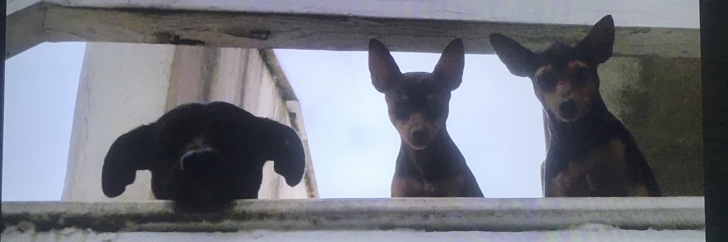 __jedro's profile banner image