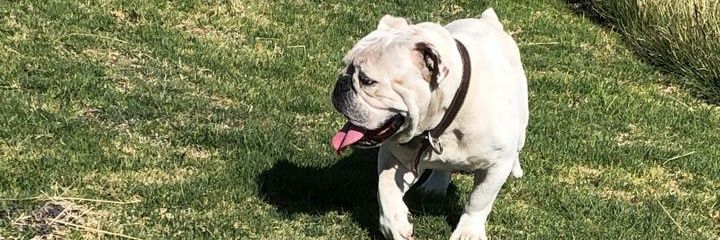 DavidVelzz's profile banner image
