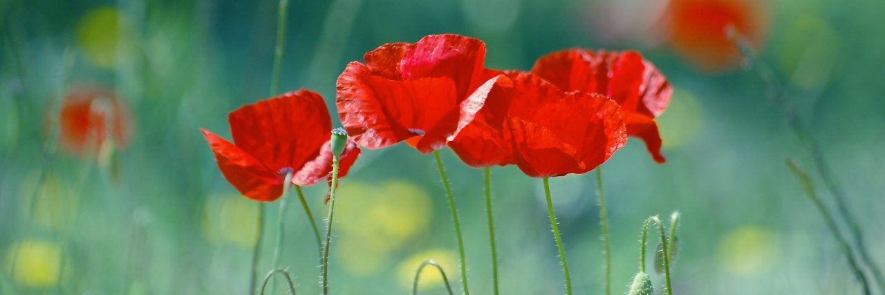 Bouwer2011's profile banner image