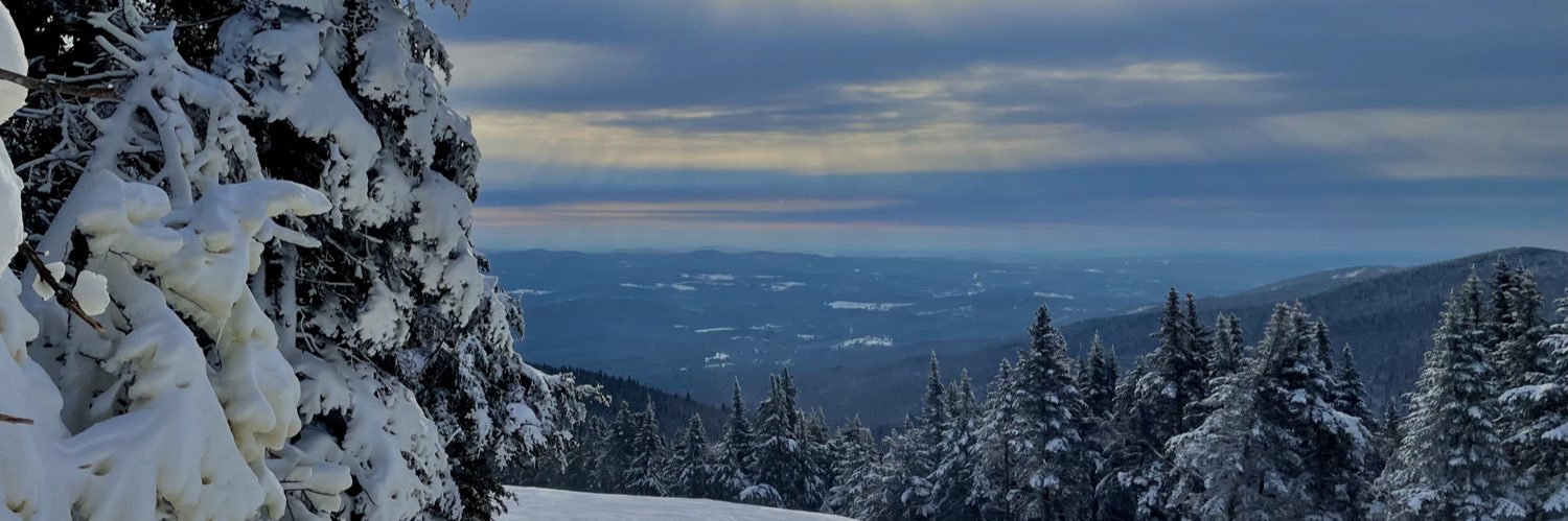 annanagell's profile banner image