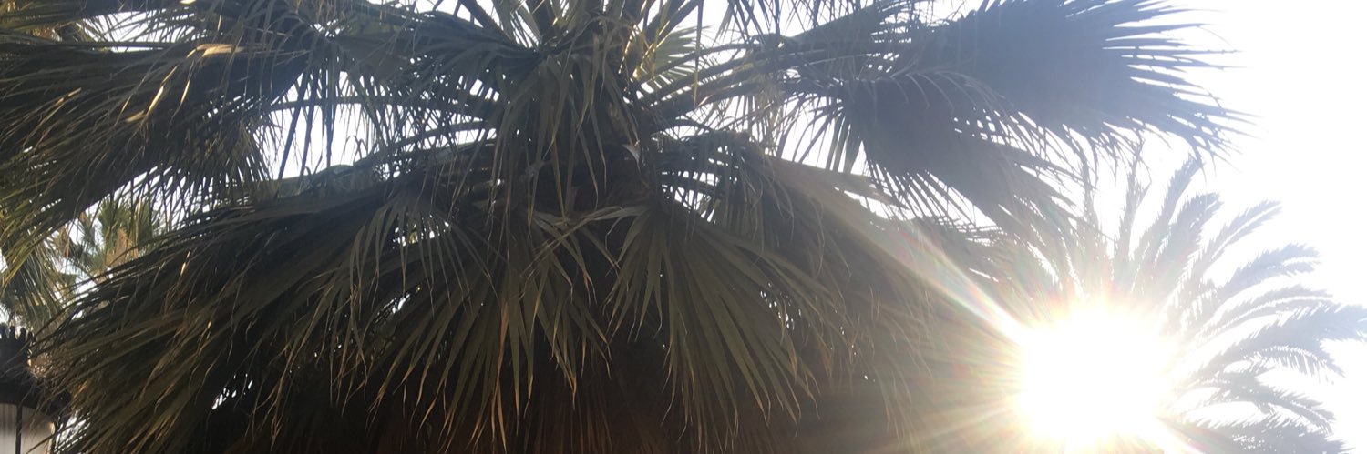emsofiala's profile banner image