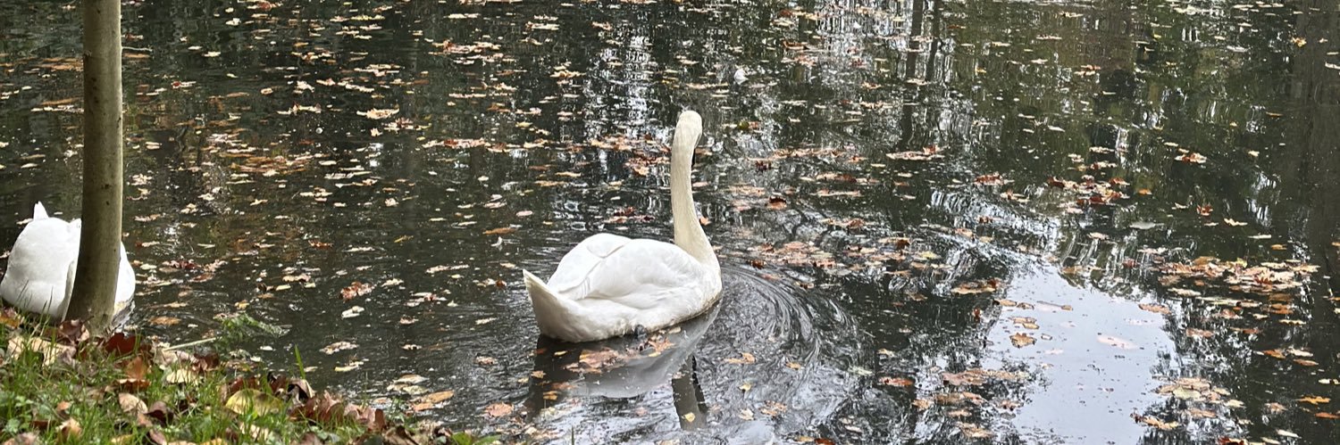 حصة بنت عبدالعزيز banner