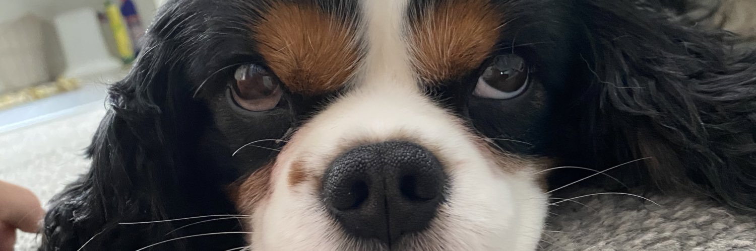 CoraKelly_'s profile banner image