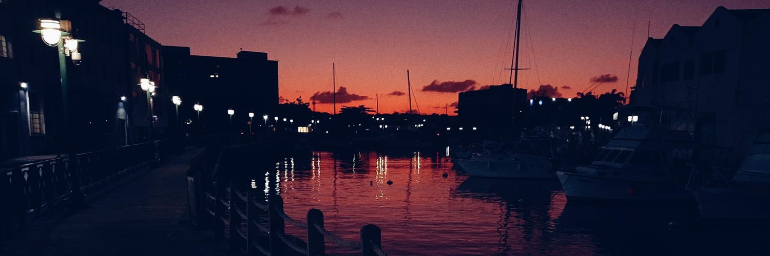 bajan_t__'s profile banner image